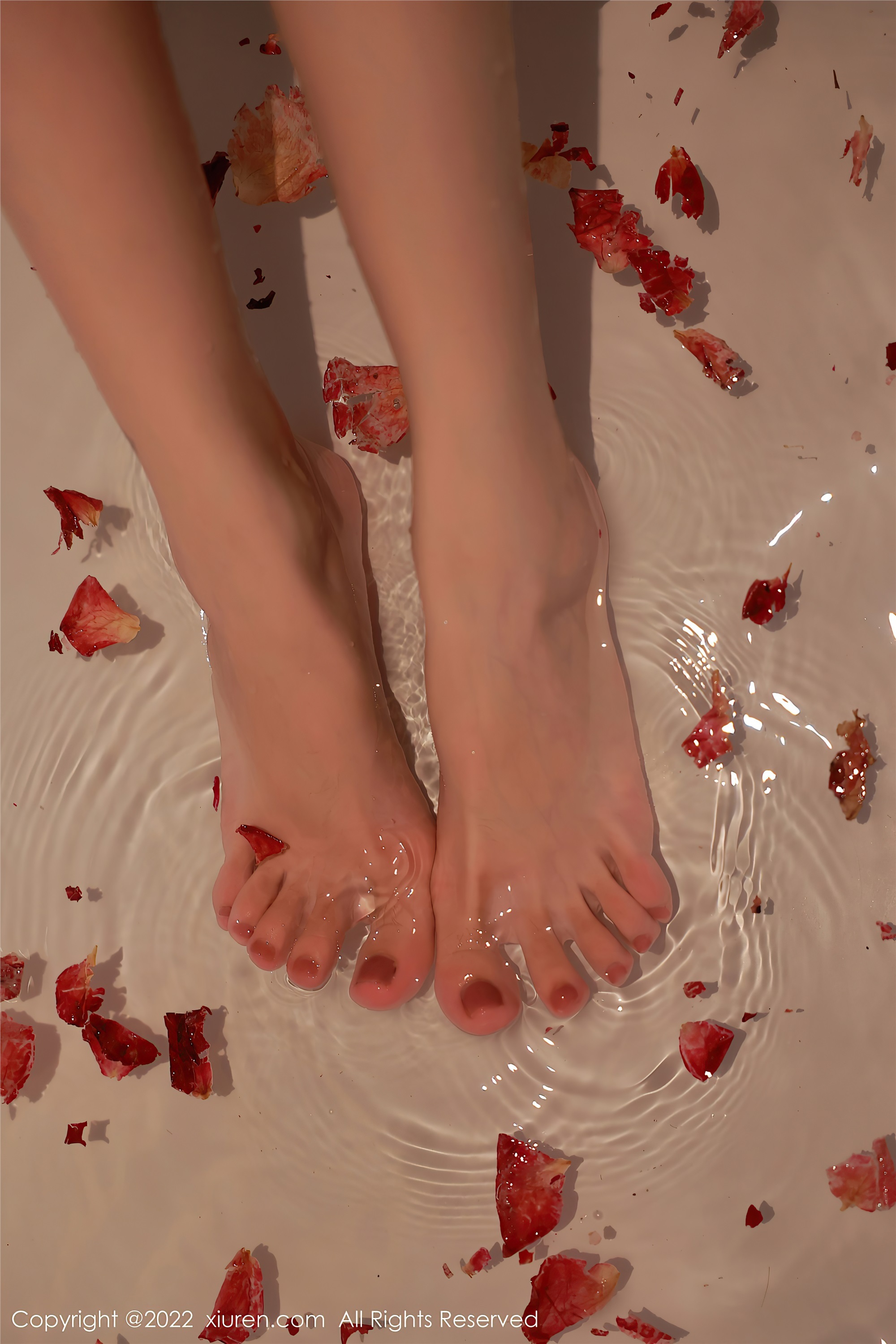 Xiuren秀人网 2022.10.09 NO.5682 Hebe韩心雨